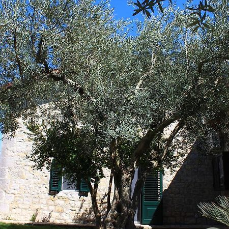 Appartamento Le Tre Palme Frigintini Экстерьер фото