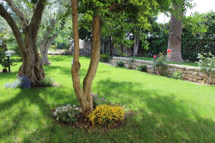 Appartamento Le Tre Palme Frigintini Номер фото