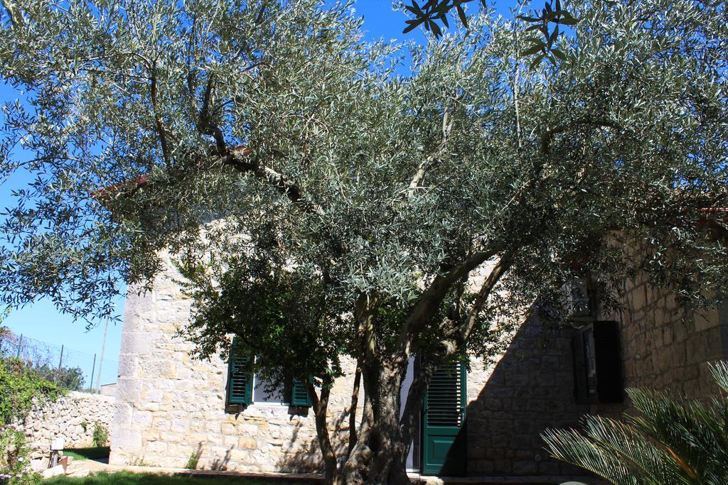 Appartamento Le Tre Palme Frigintini Экстерьер фото
