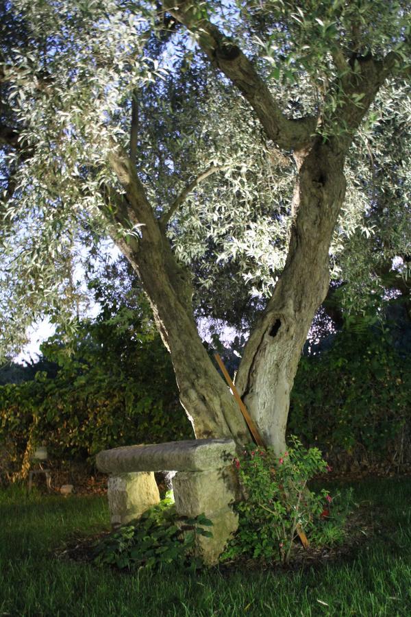 Appartamento Le Tre Palme Frigintini Экстерьер фото